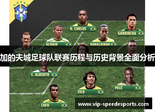 加的夫城足球队联赛历程与历史背景全面分析 加的夫城足球队联赛历程与历史背景全面分析