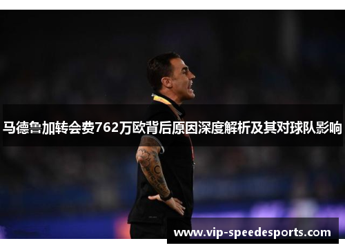 马德鲁加转会费762万欧背后原因深度解析及其对球队影响